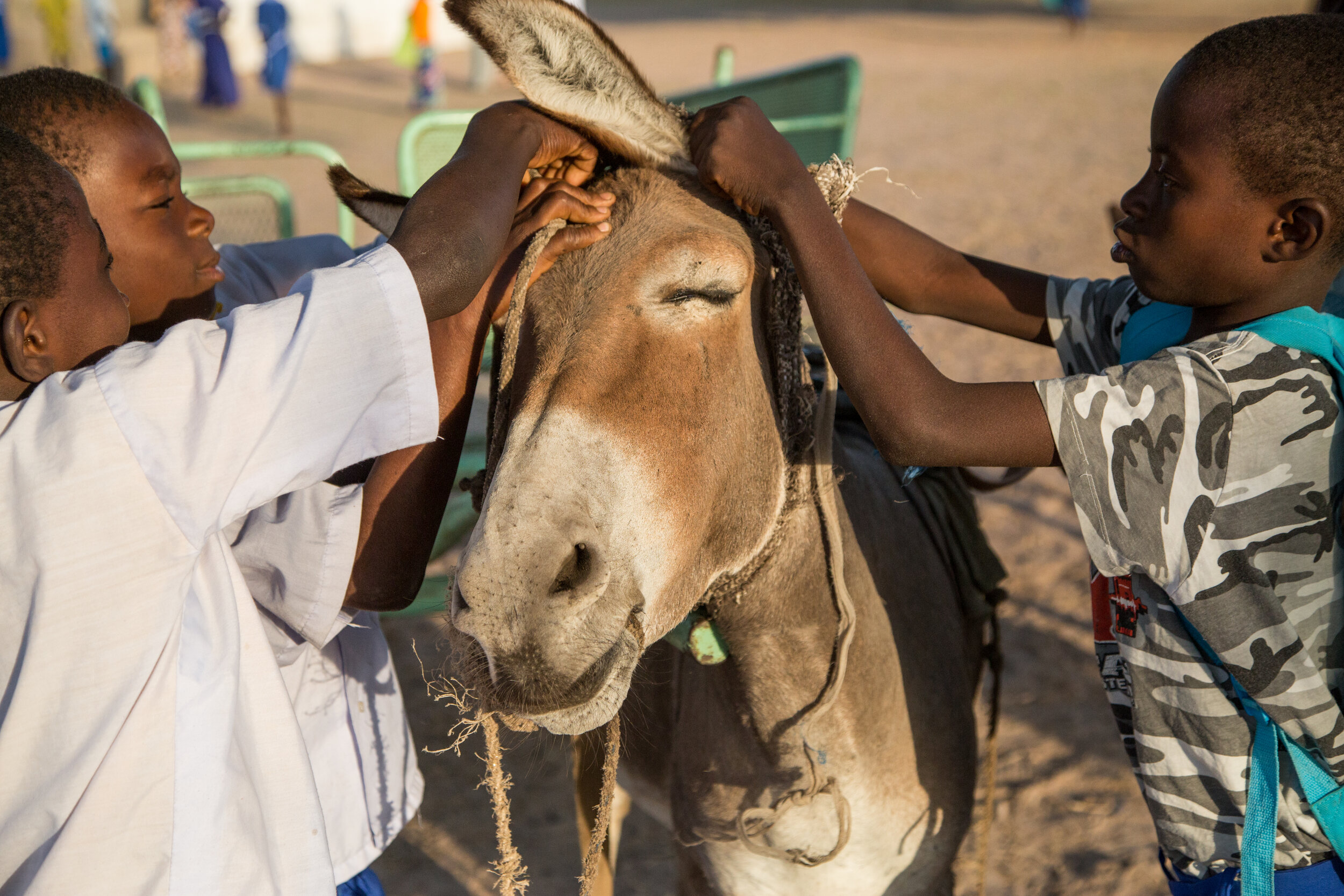 The_Gambia_26.jpg