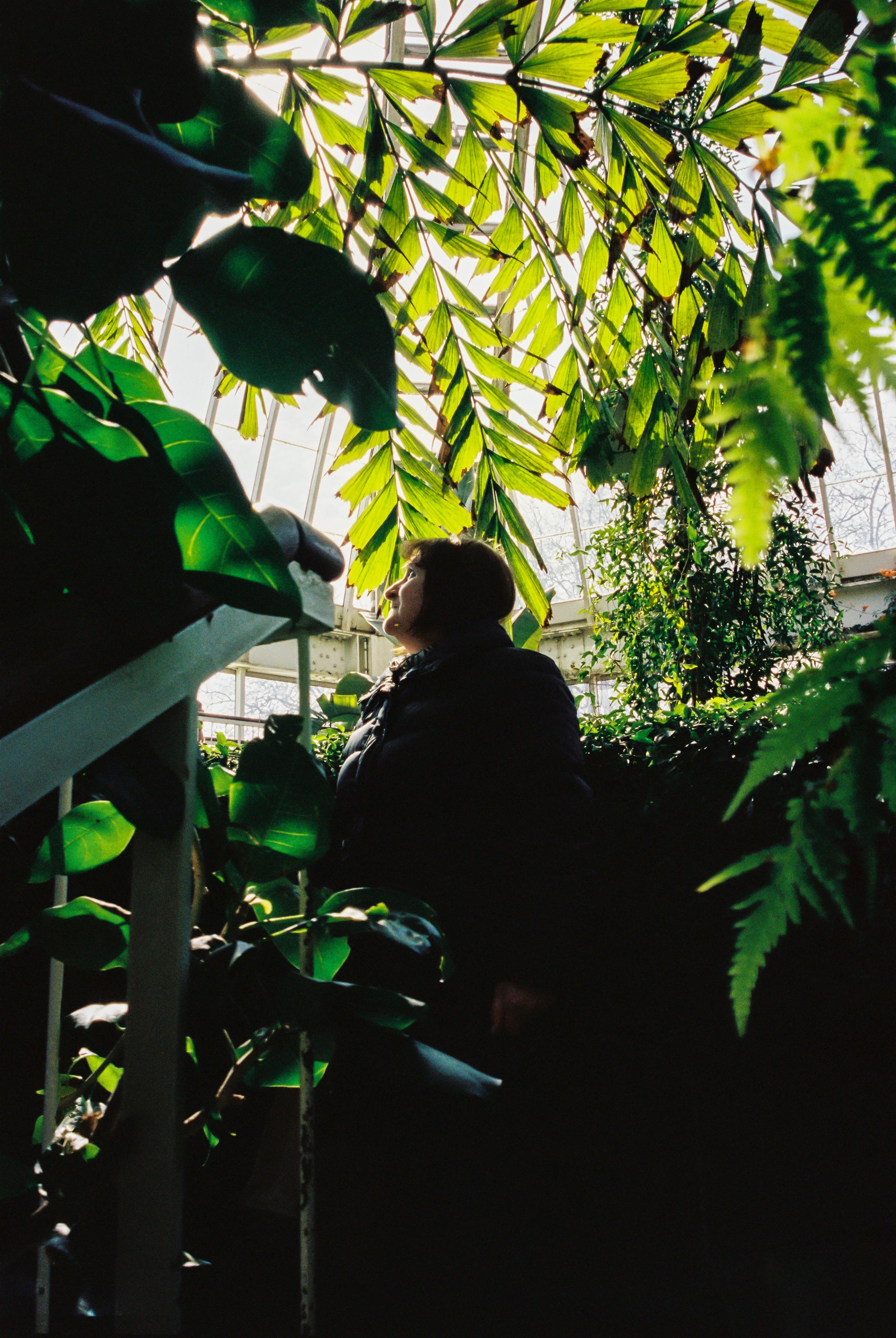 B0B0042-R1-00-1A copy.jpg