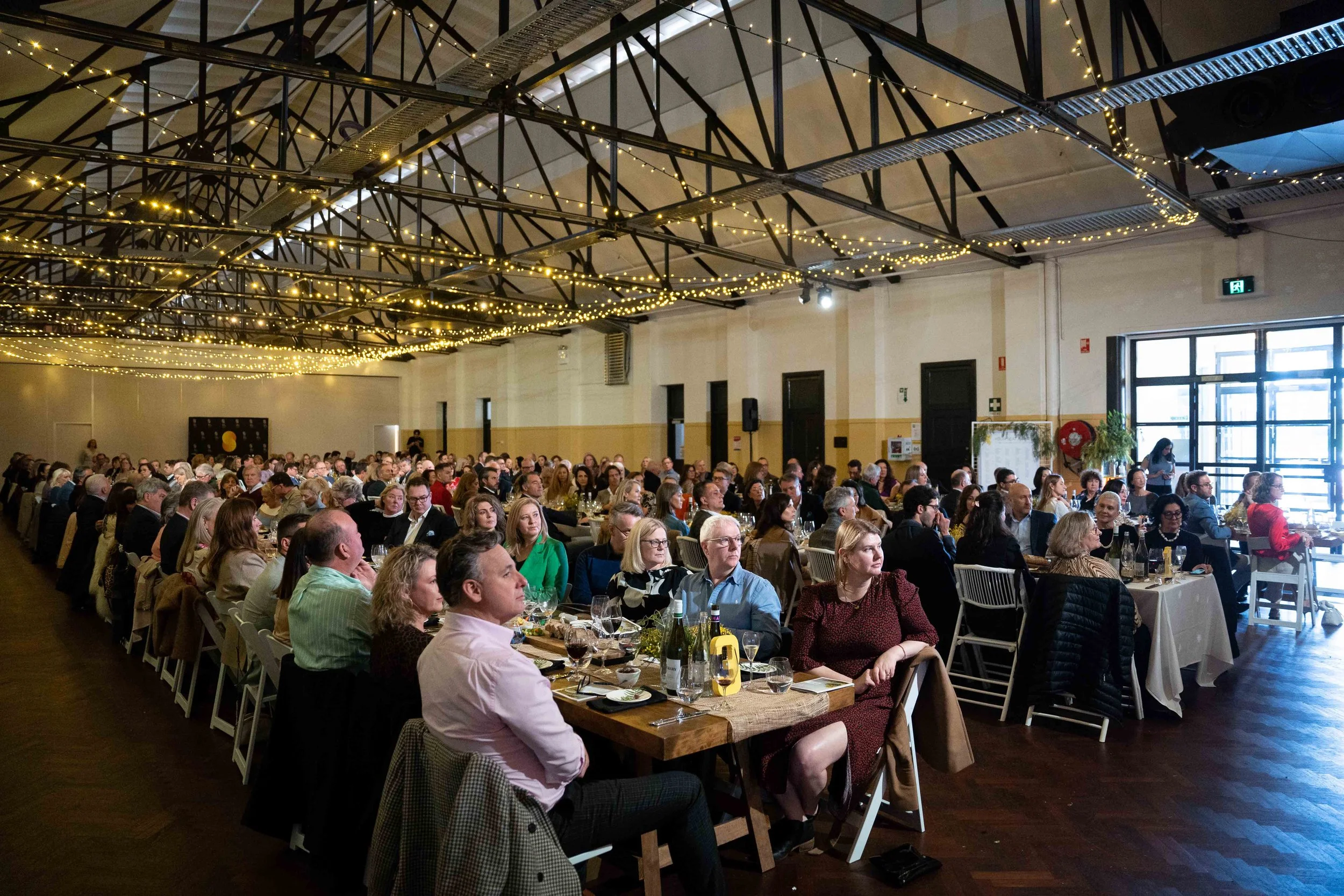 DSC08244Mobile Friendly - Photo by Jon Wah.JPG