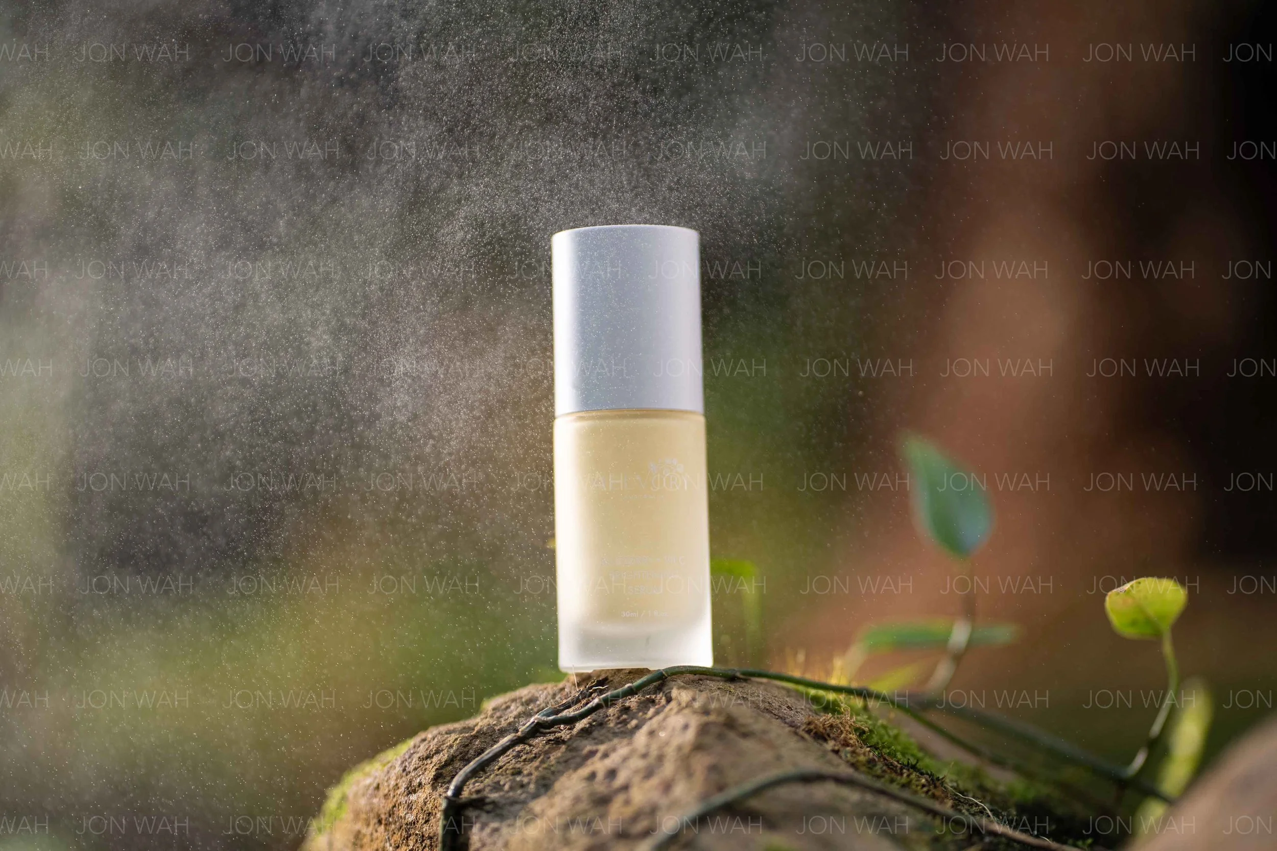 A7408860.jpg