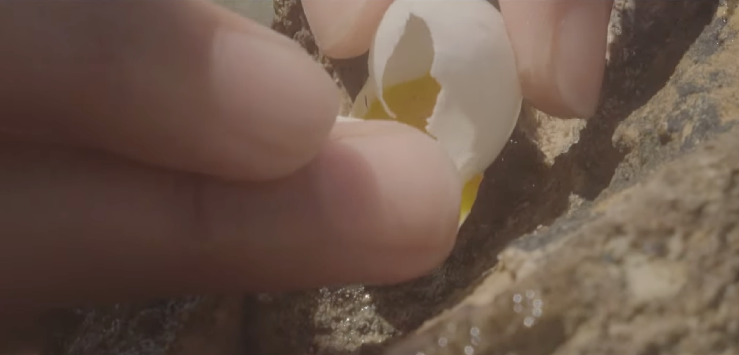 Doğum_Notebook of Recall_Frame_6.png