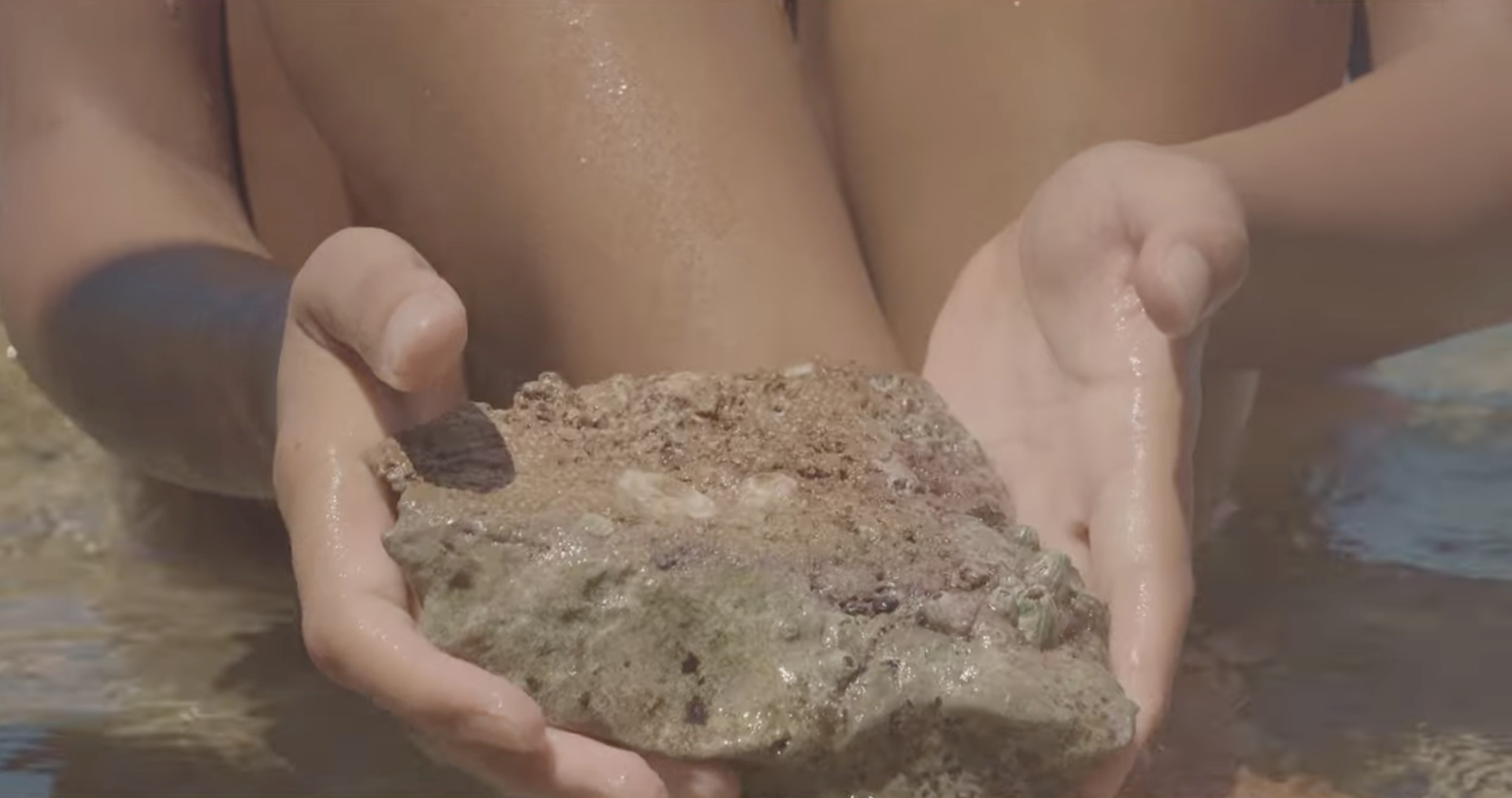 Doğum_Notebook of Recall_Frame_4.png