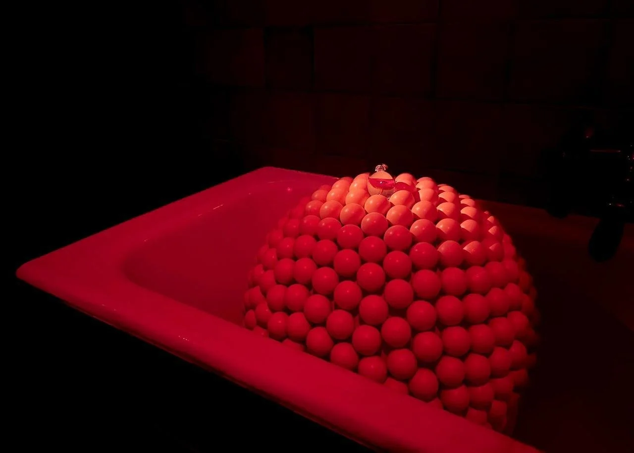 WhatsApp Image 2026-02-03 at 17.55.31.jpeg