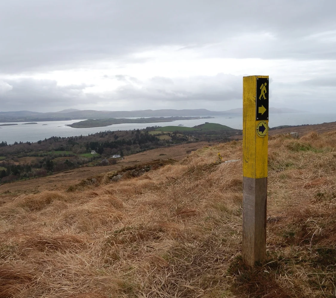 Lush woods and open heath above Bantry Bay