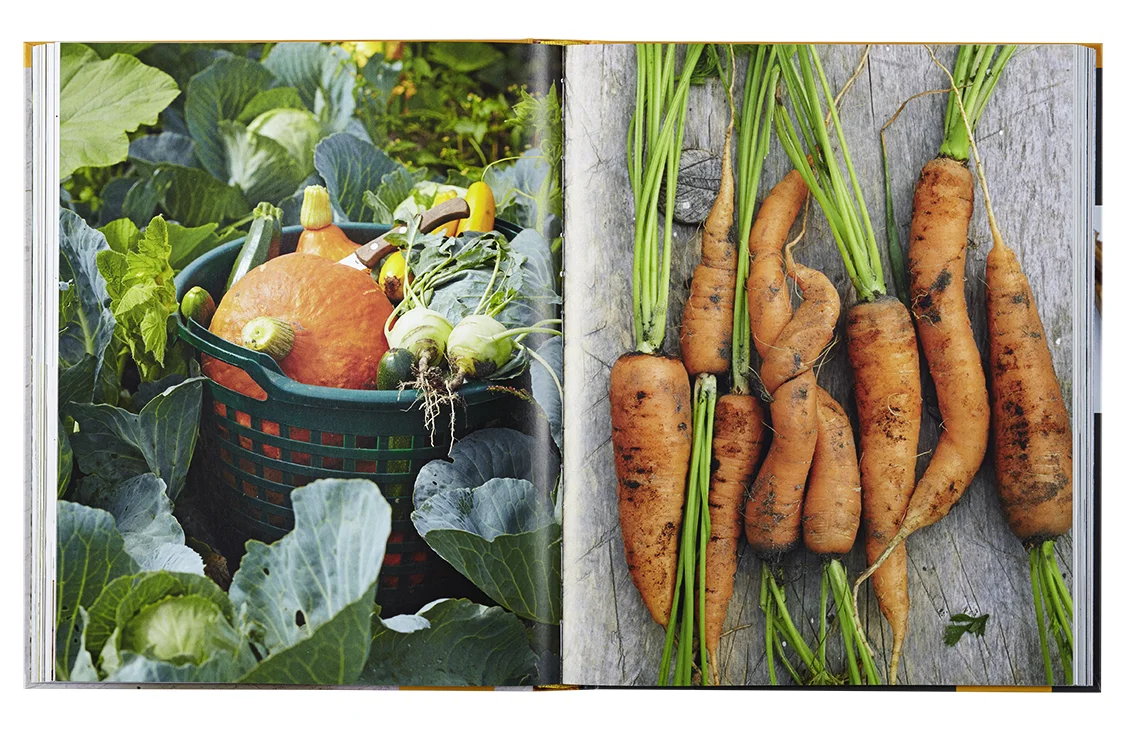 06_Vegetarisch_jedenTag_UHolsten.jpg