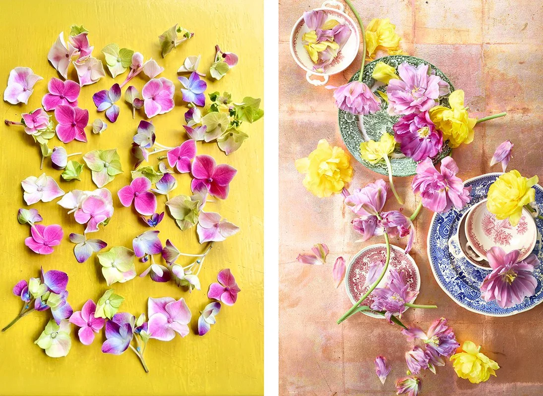 Stills_UHolsten_Blumen.jpg