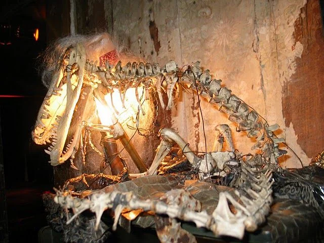 skeleton_02.jpg