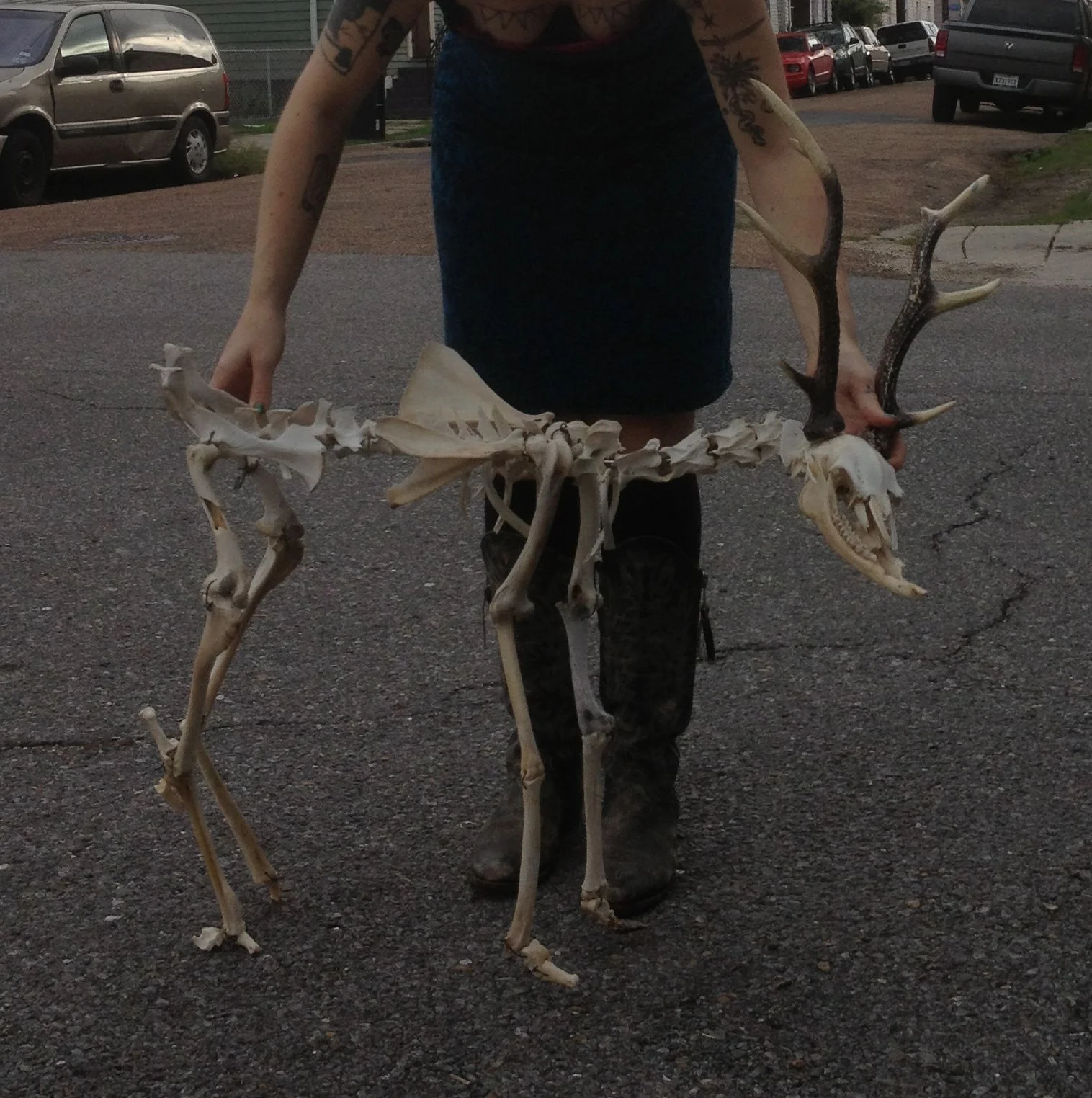 skeleton_01.jpg