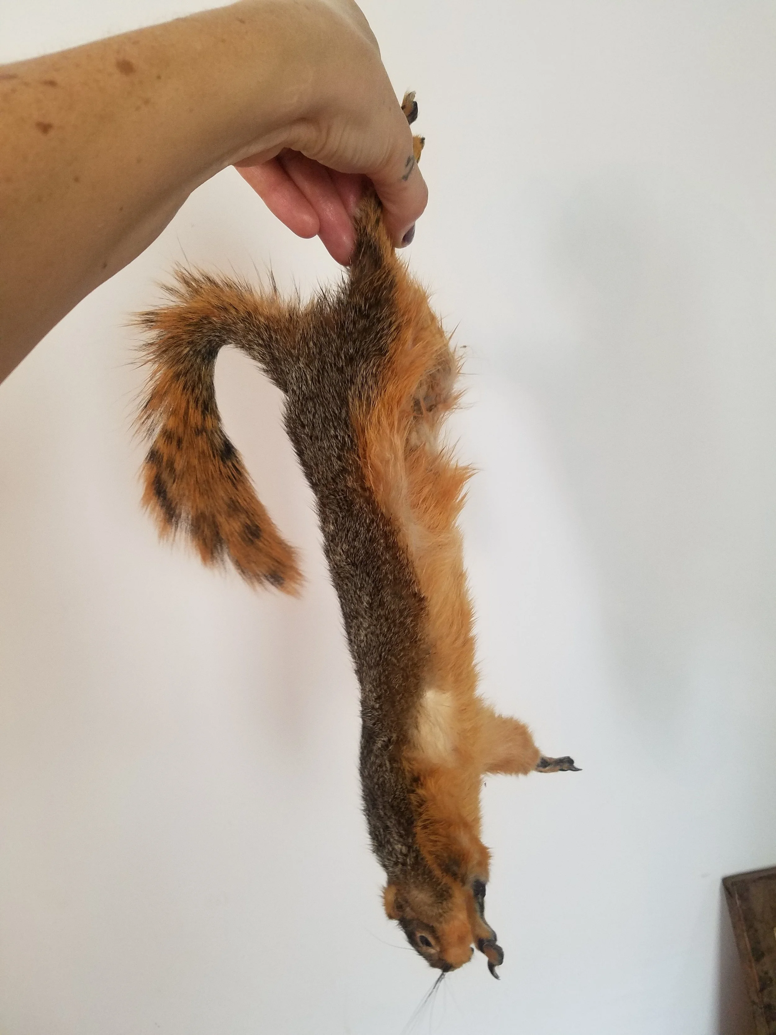 Soft form taxidermy for "Mudbound" film