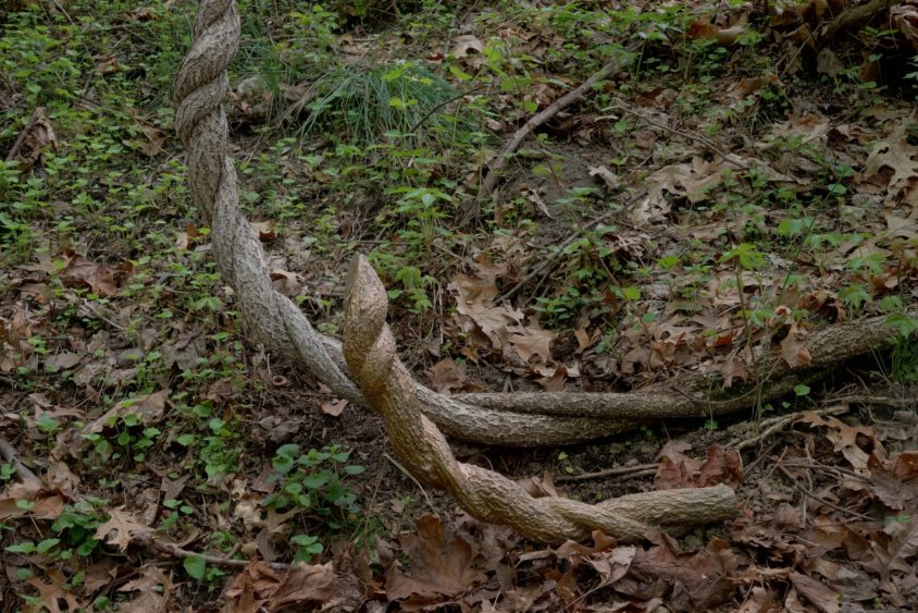 stormking_indicators_2018_05_10.1792-844x563.jpg
