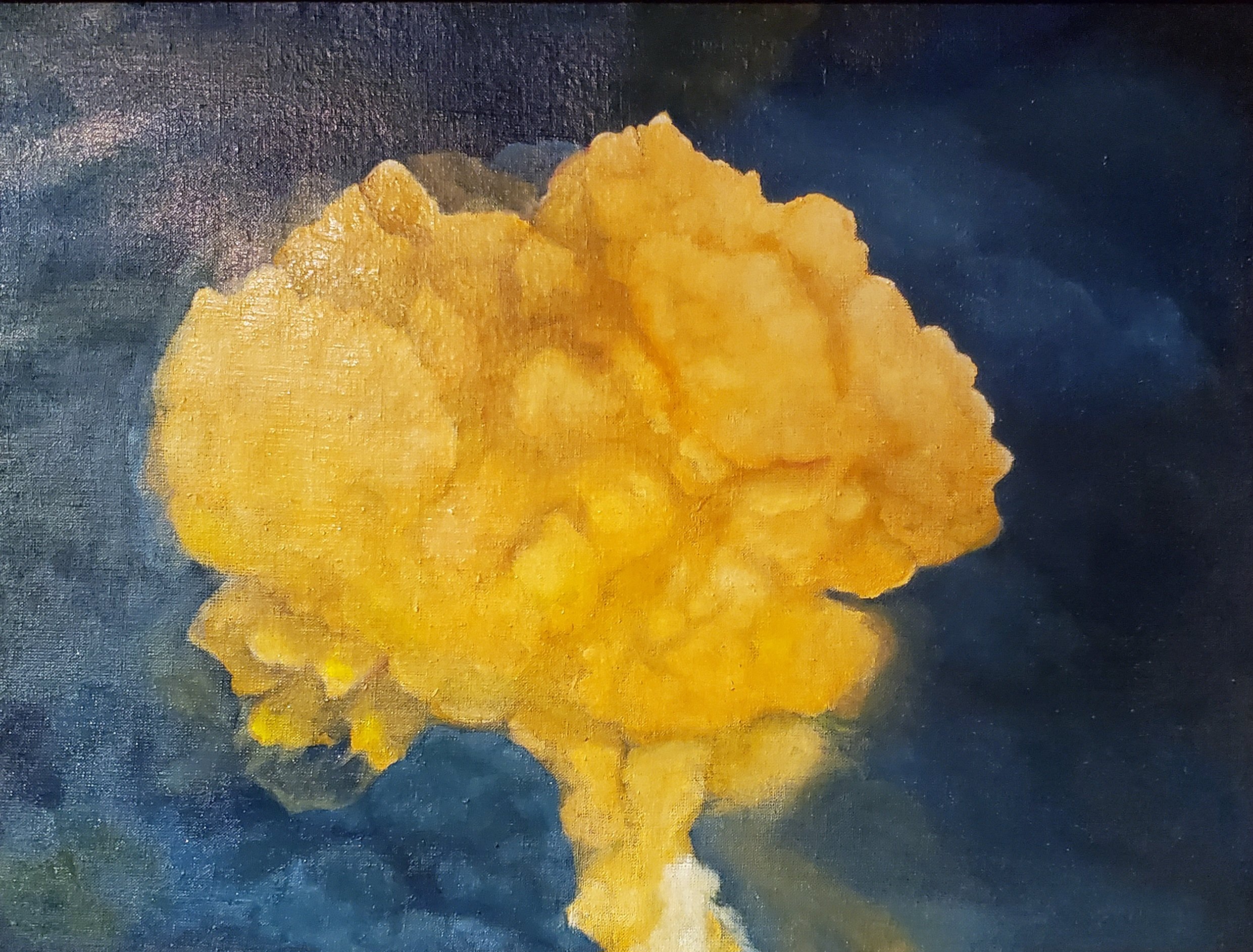 Human Volcanoes, Jilin Chemical Plant Explosion 2005