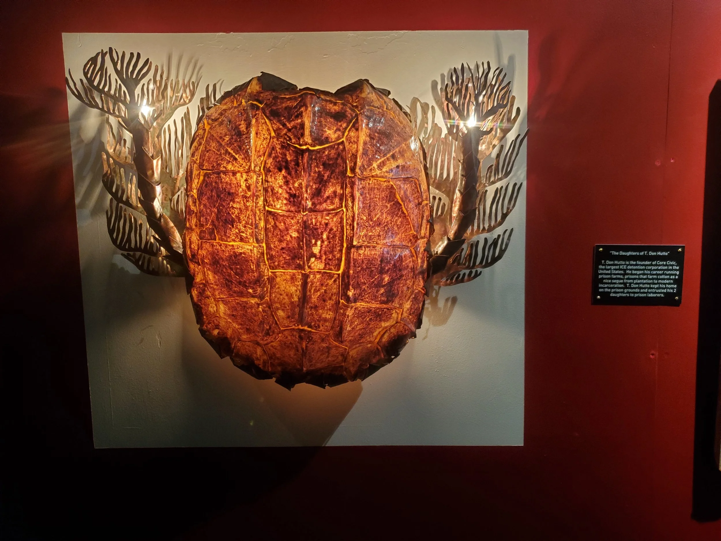 Alligator Turtle Sconce