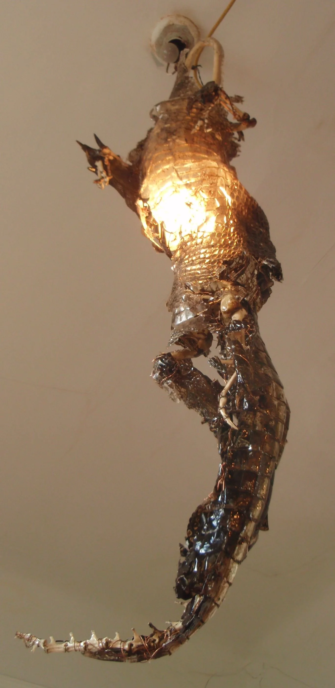 Alligator Chandelier