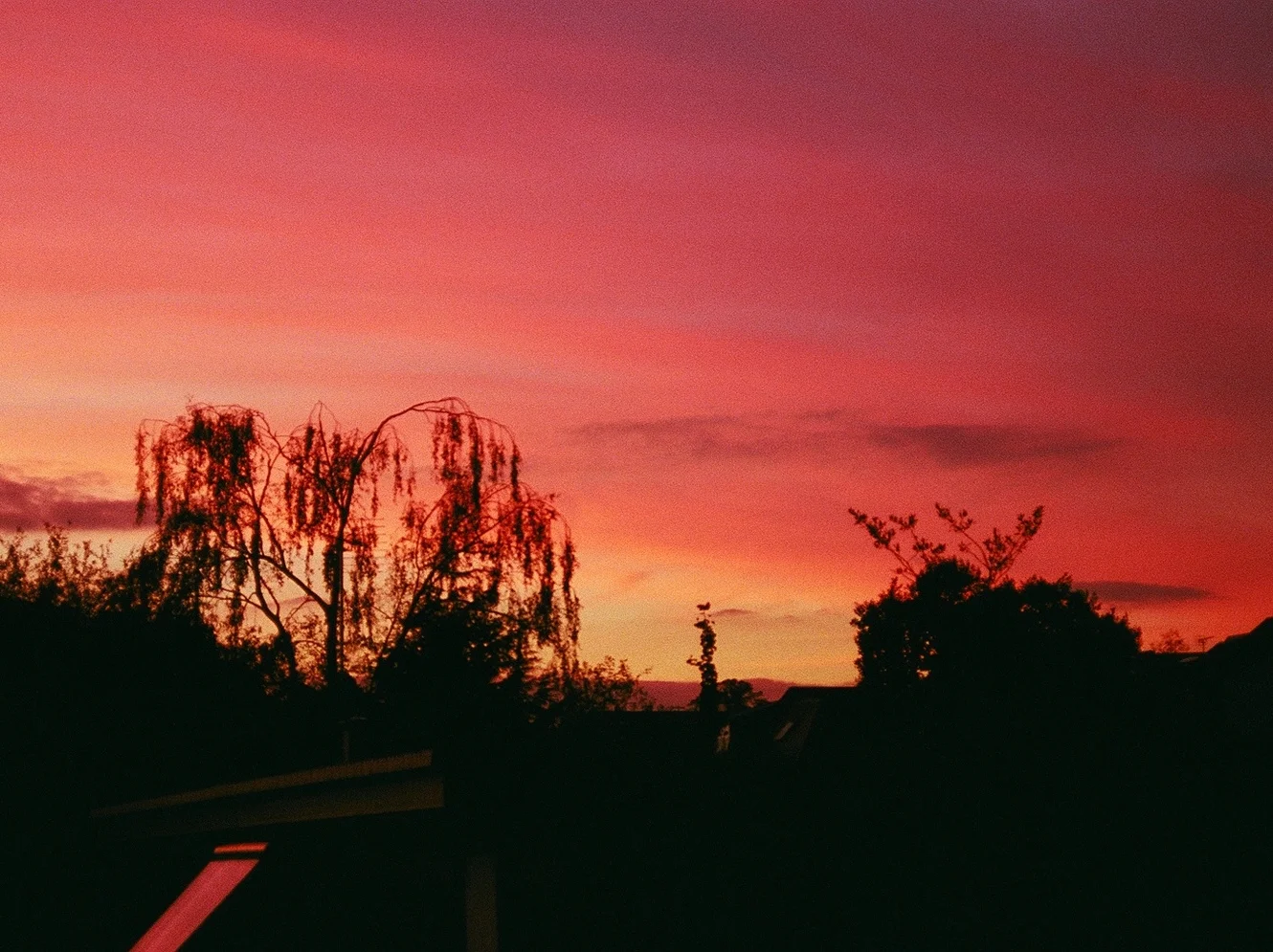 Sunset Silhouette - 35mm  2010 