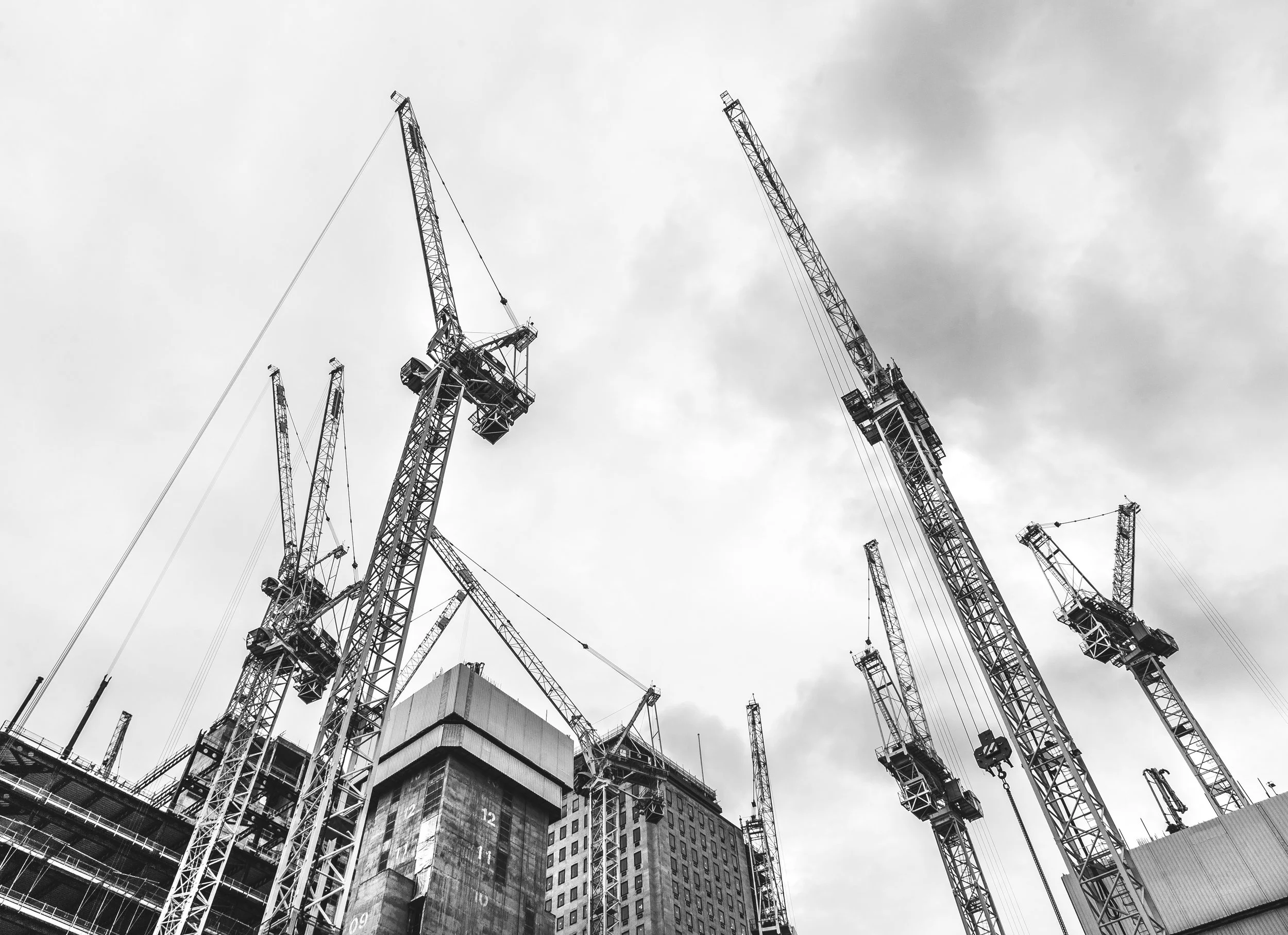 Crane.jpg
