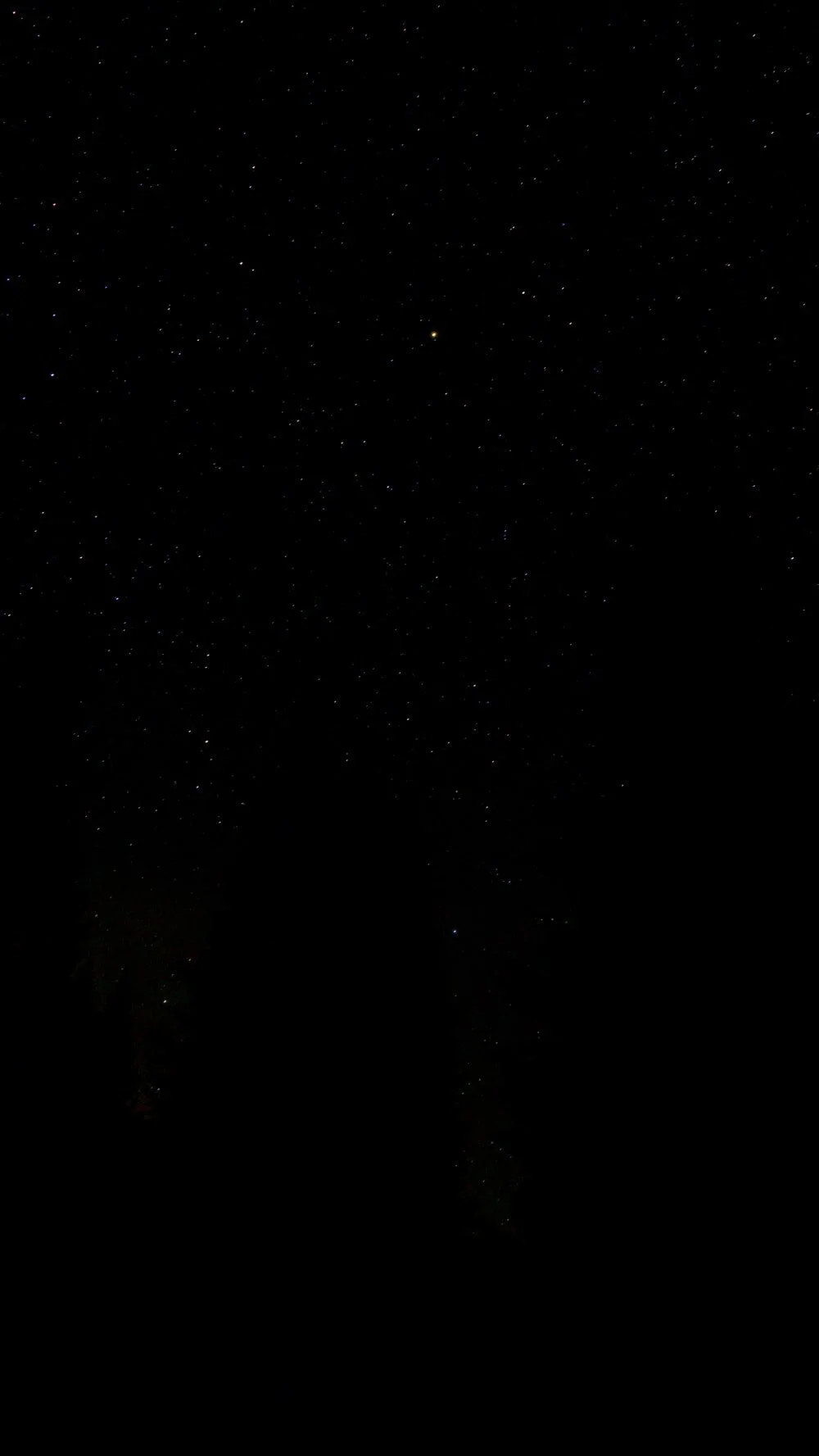 Complete Tattoo Aftercare Kit