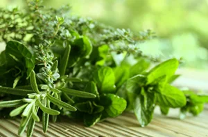 sunna-island-mint-wrap-ritual.jpg