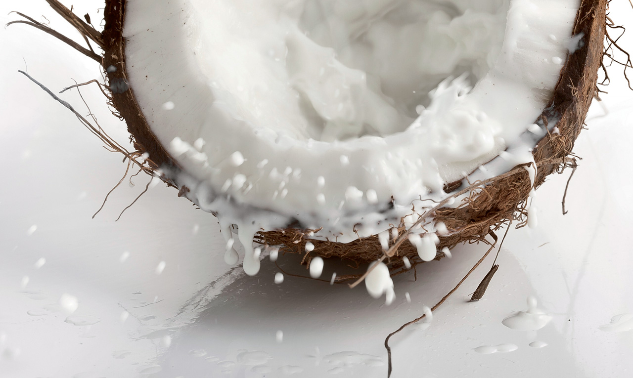 linda-hall-botanical-ingredients.jpg