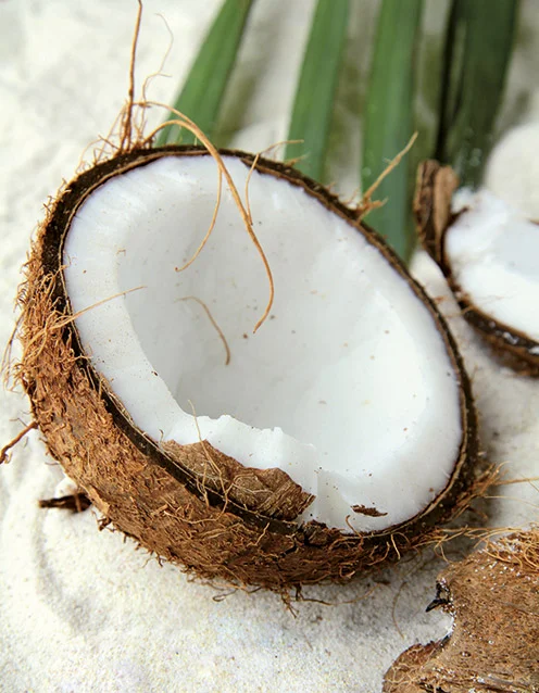 linda-hall-ingredients-coconut.jpg