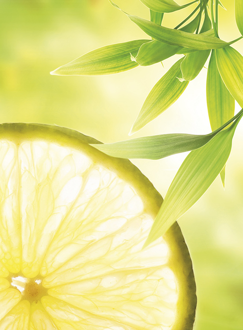linda-hall-ingredients-lemon.jpg