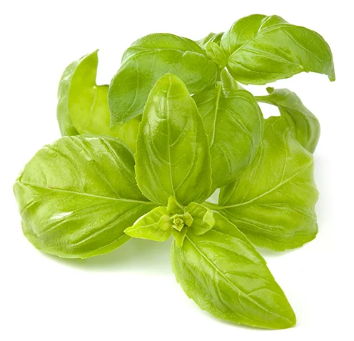 linda-hall-ingredients-basil.jpg