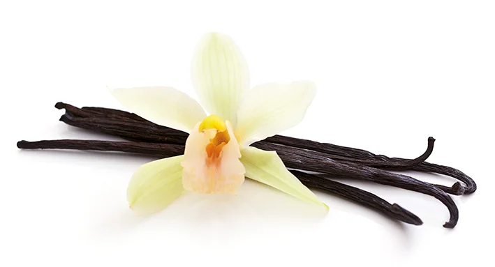 linda-hall-ingredients-vanilla.jpg