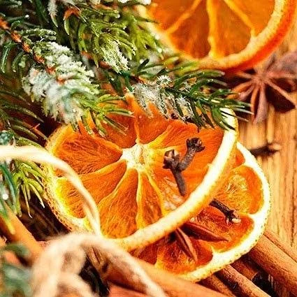 Linda Hall Orange and Cloves snow pine.jpg
