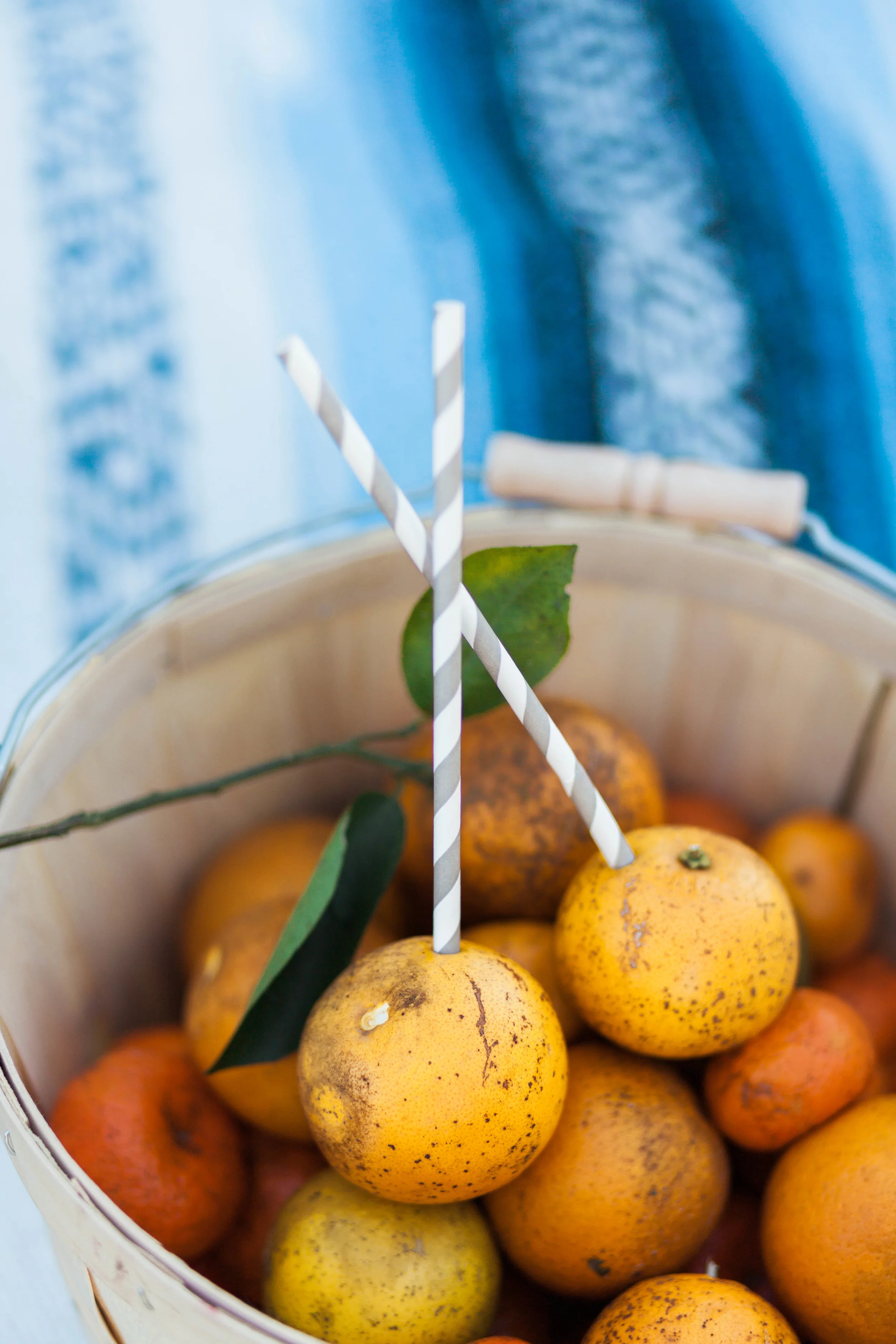Orange Grove Engagement Session in Winter Garden, Florida