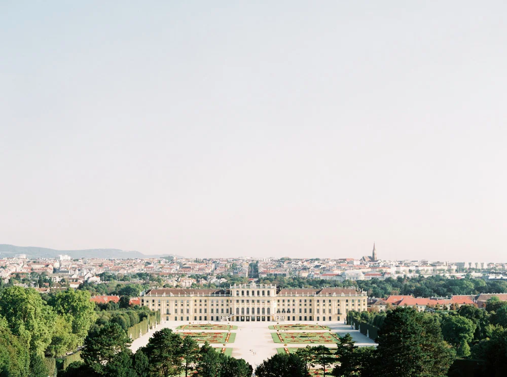 Surprise Engagement Proposal in Vienna