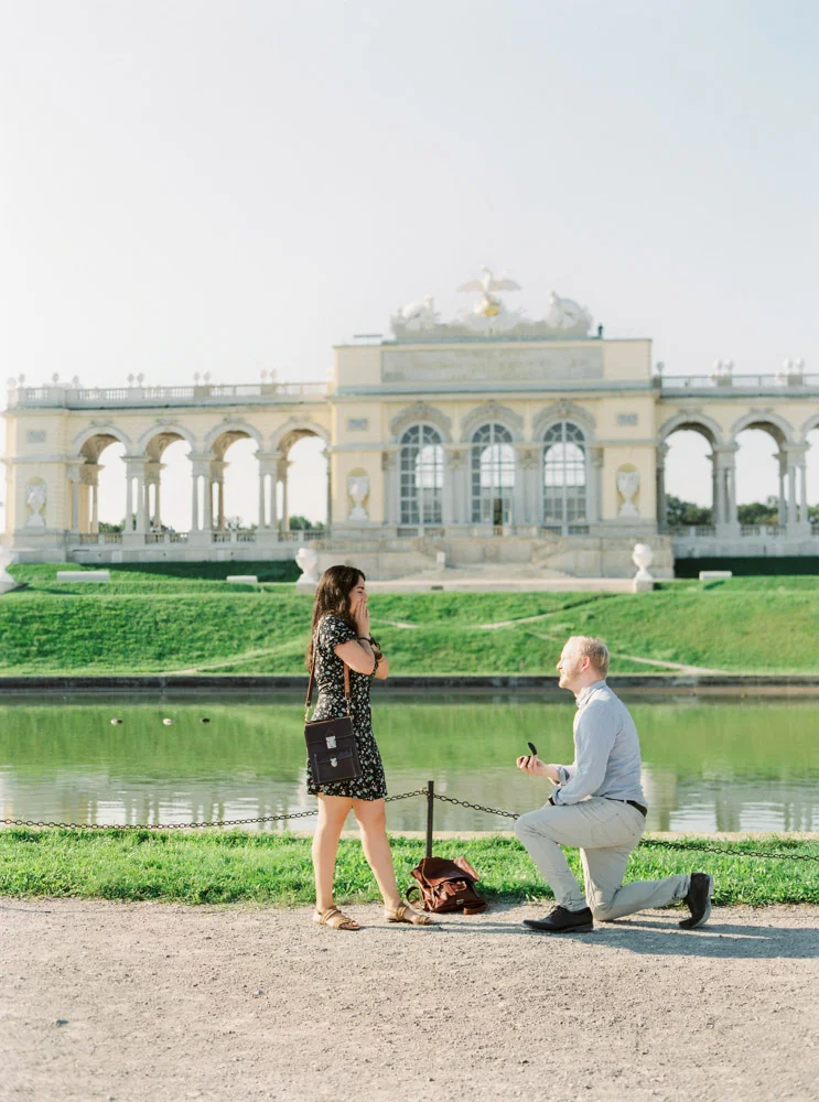 Engagement Proposal in Vienna, Austria