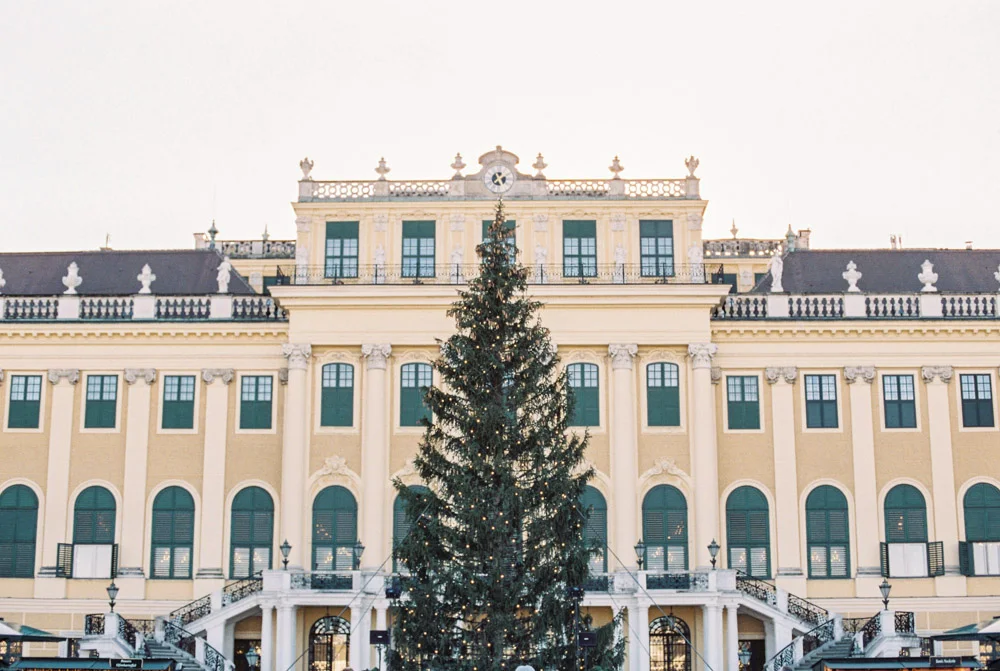 Getting Engaged In Vienna