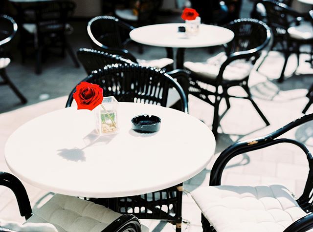 I use Sundays to find cute brunch cafes with freshly cut roses on the table.🌹☕️ Taken on a #contax645 on #fujinps160, developed and scanned by @carmencitalab.