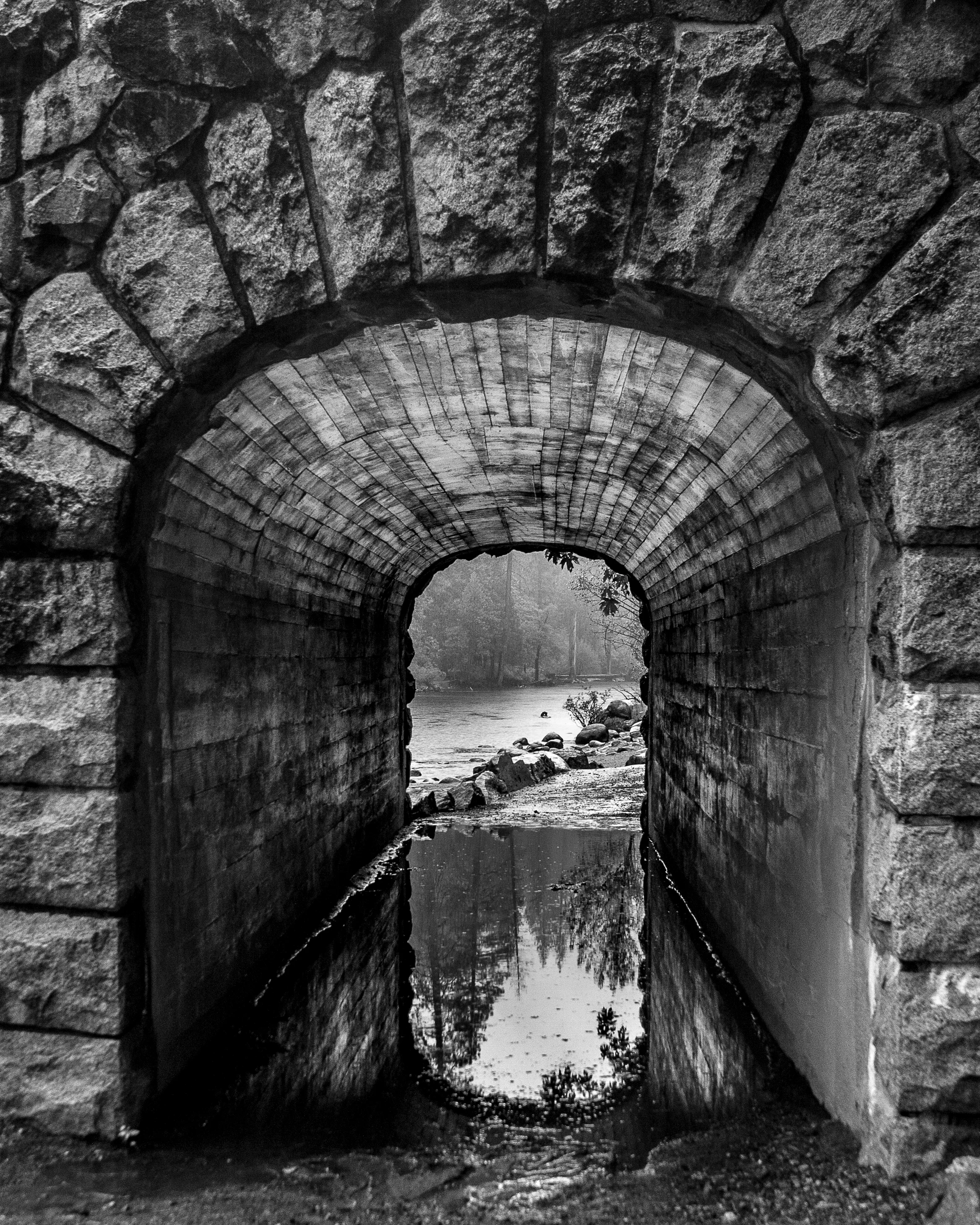 tunnel_-2.jpg