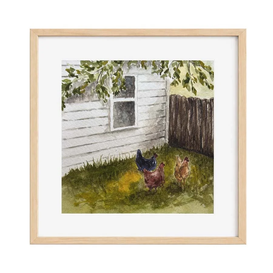 Ohio Chickens