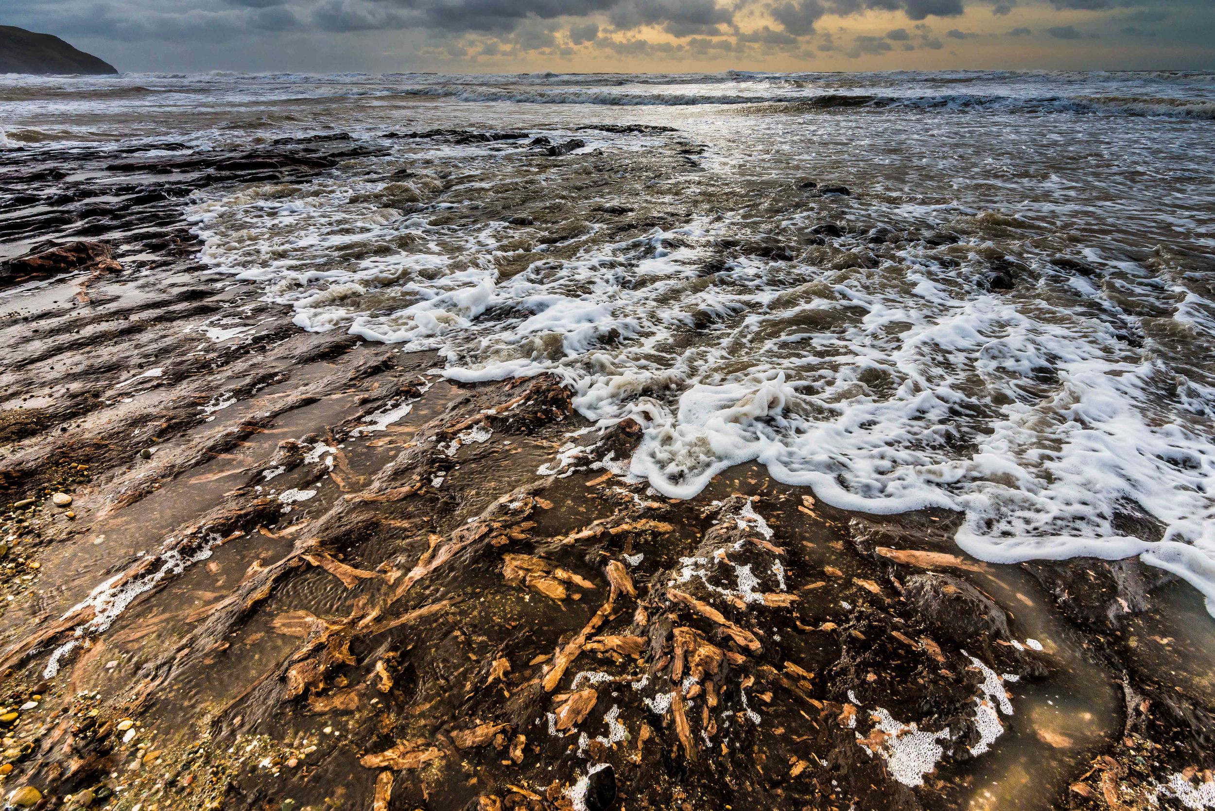Porth Neigwl roots remain