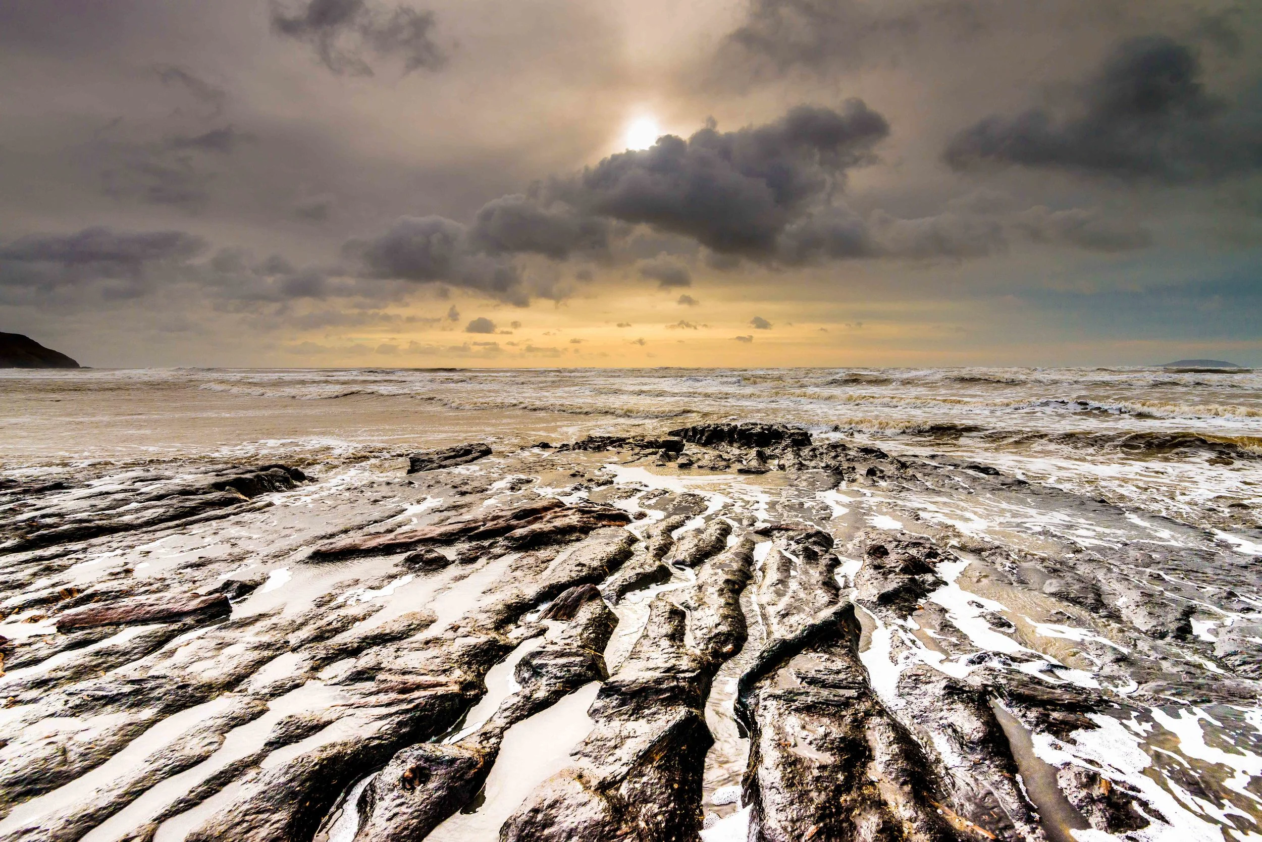 Lost forest Porth Neigwl