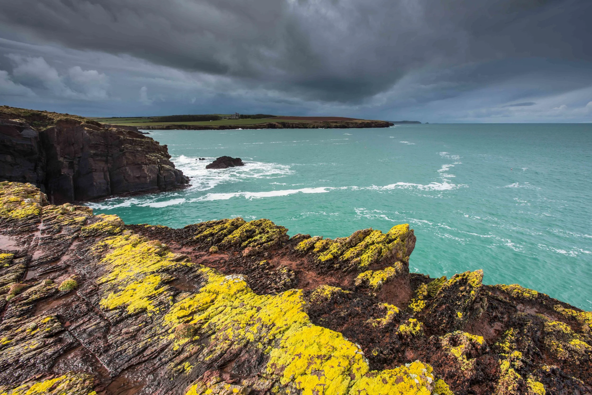 St Brides to Skomer xanthoria