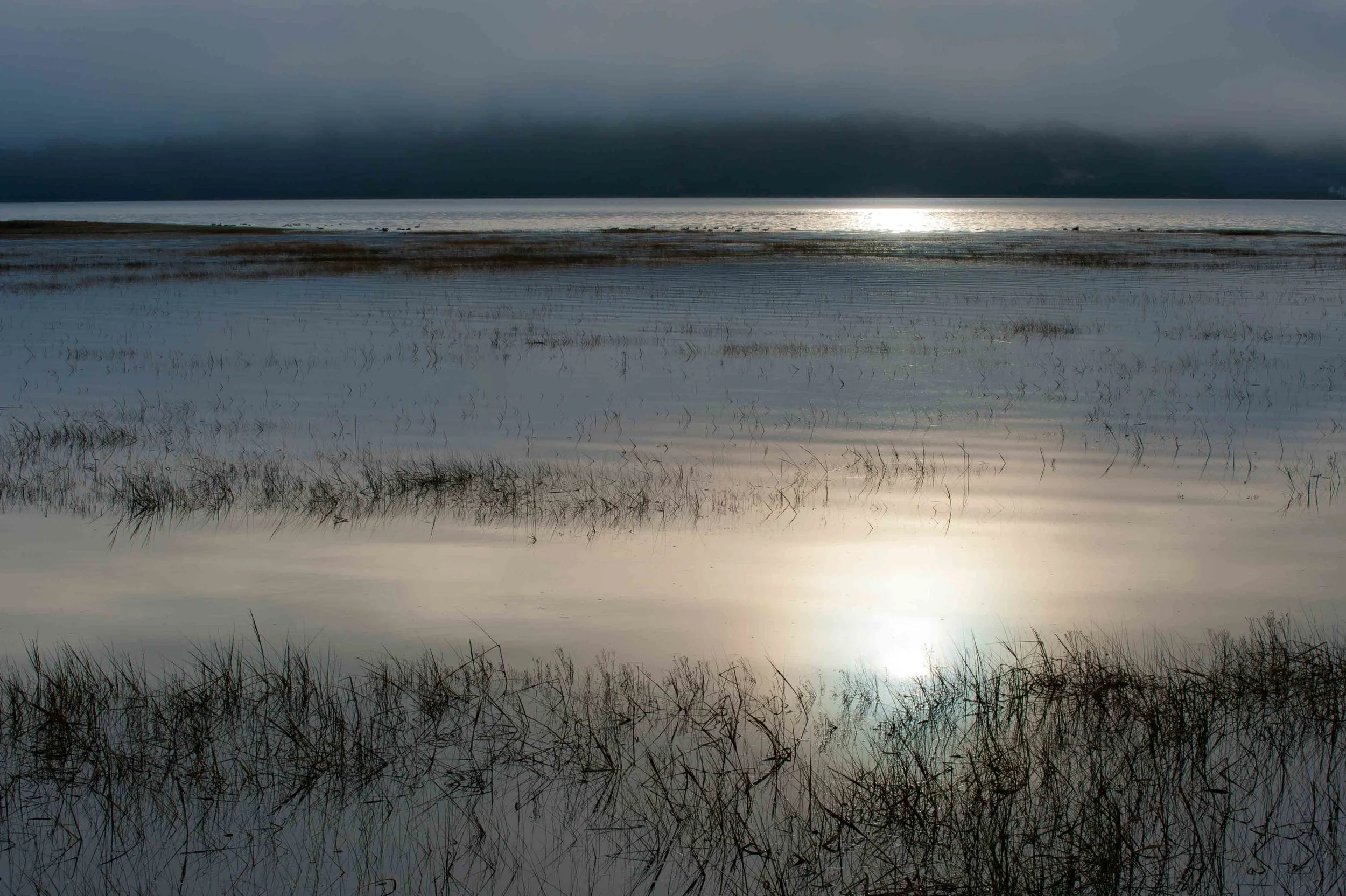 Mawddach misty morning