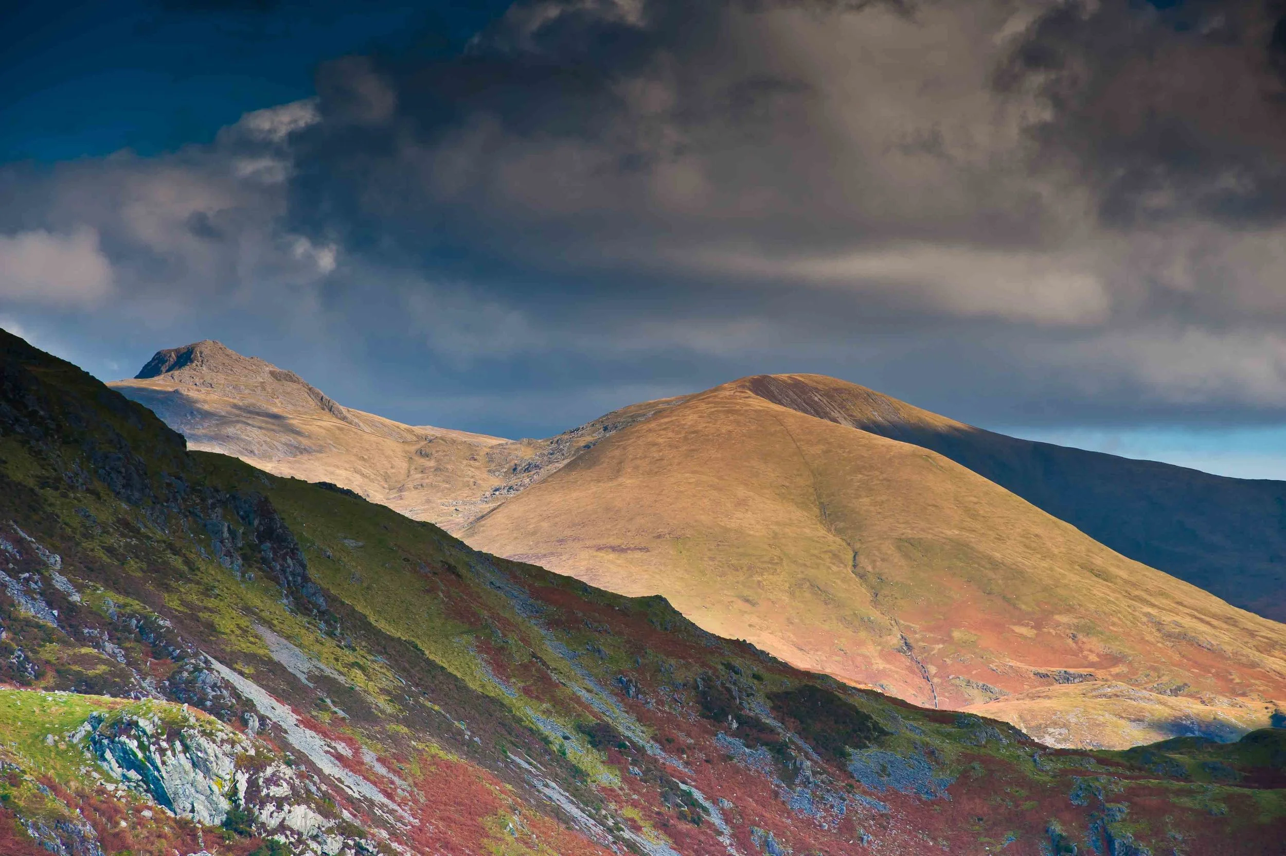Cadair Idris winter russet