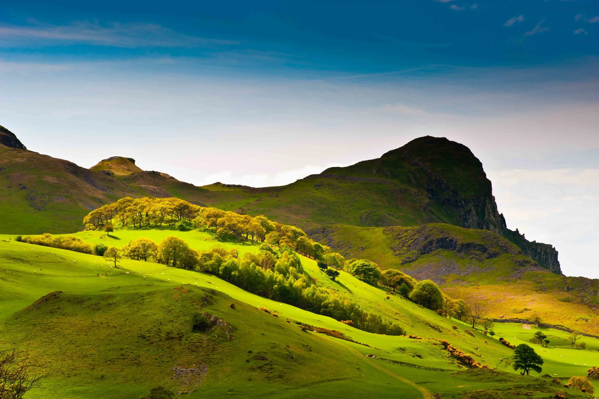 Craig Yr Aderyn - Bird's Rock