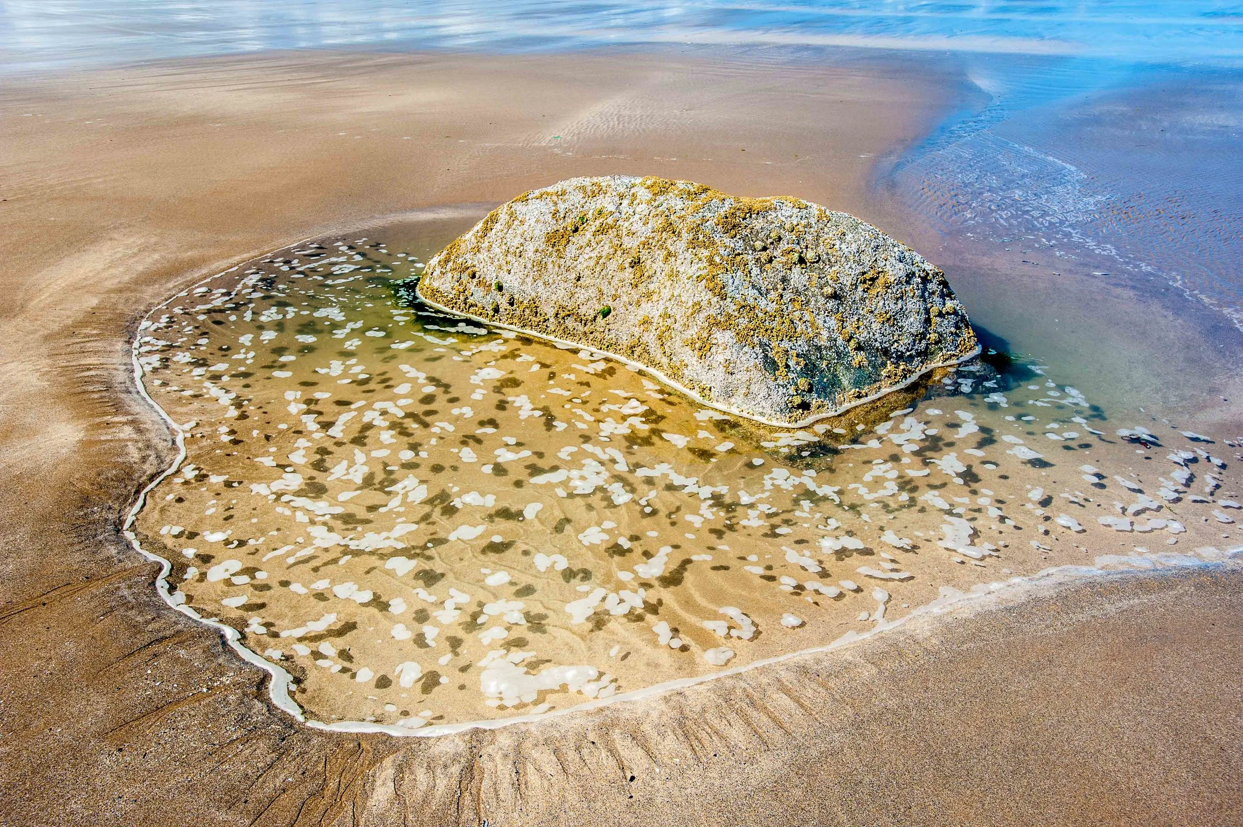 Dancing pool shadows