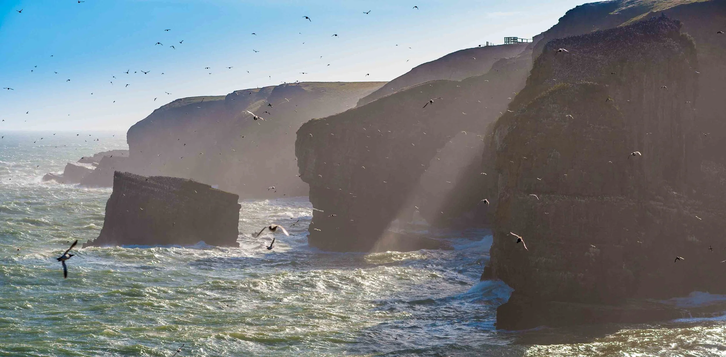 Seabird stacks