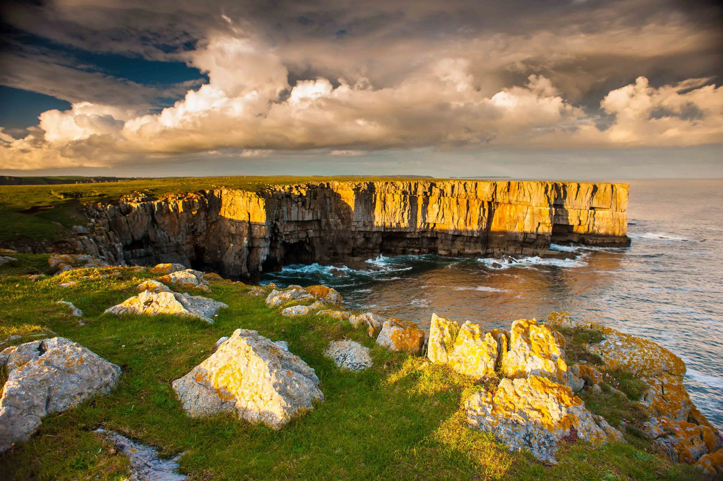 Stackpole head summer evening