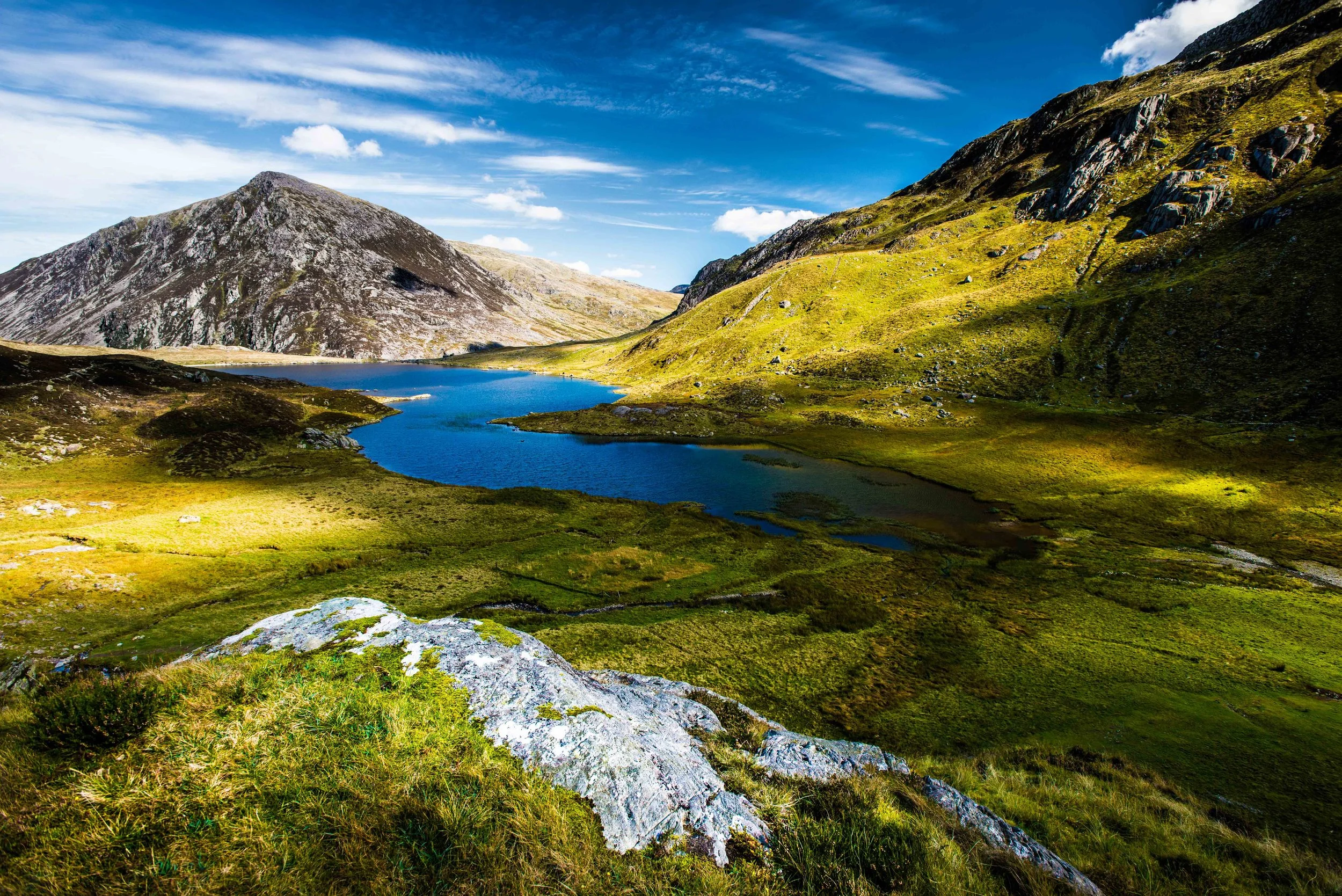 High green summer mountain