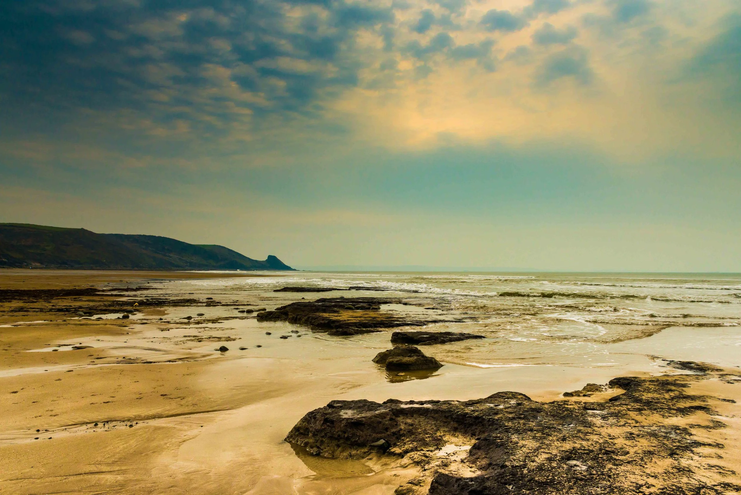 The forest at Newgale