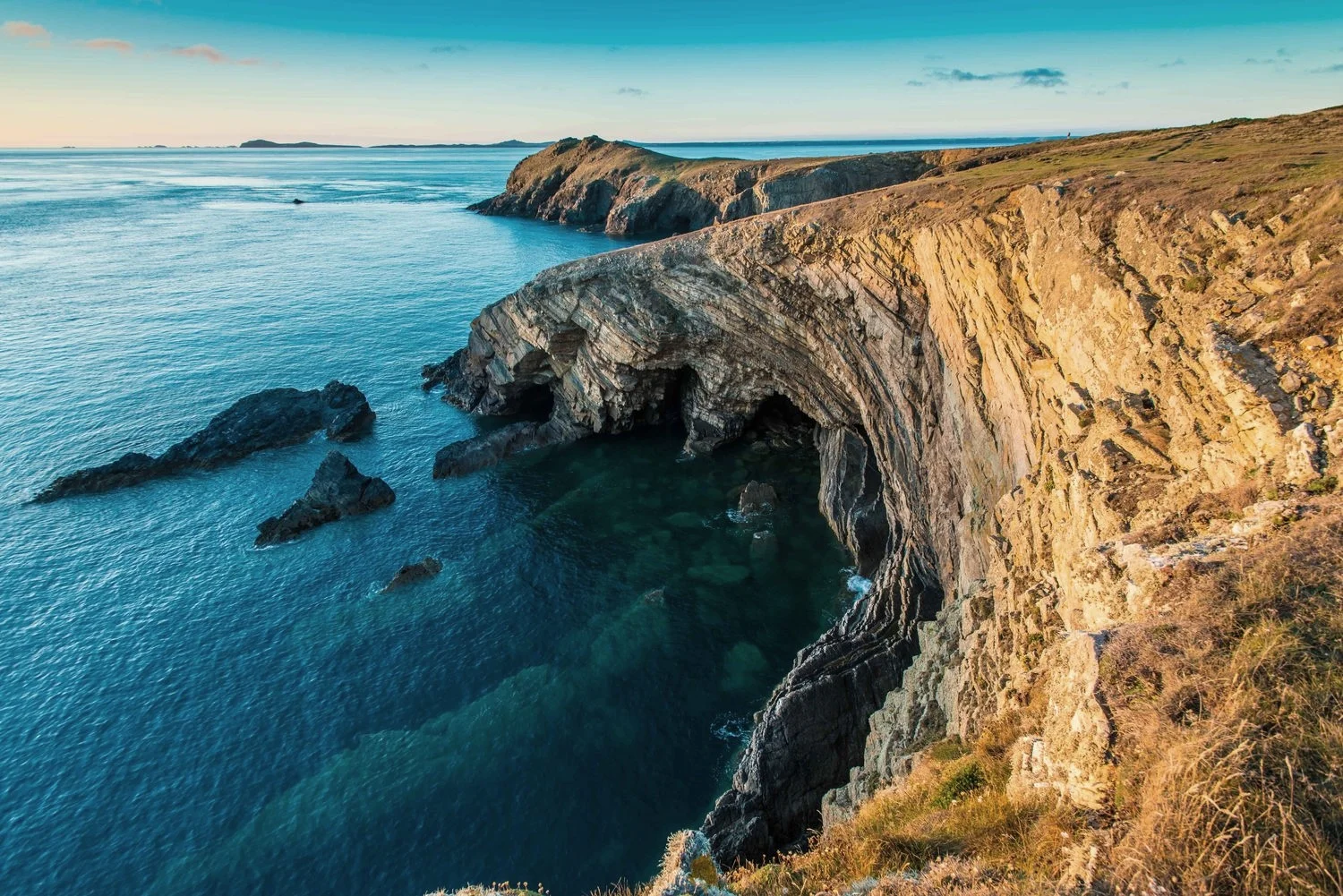 Deer park golden evening