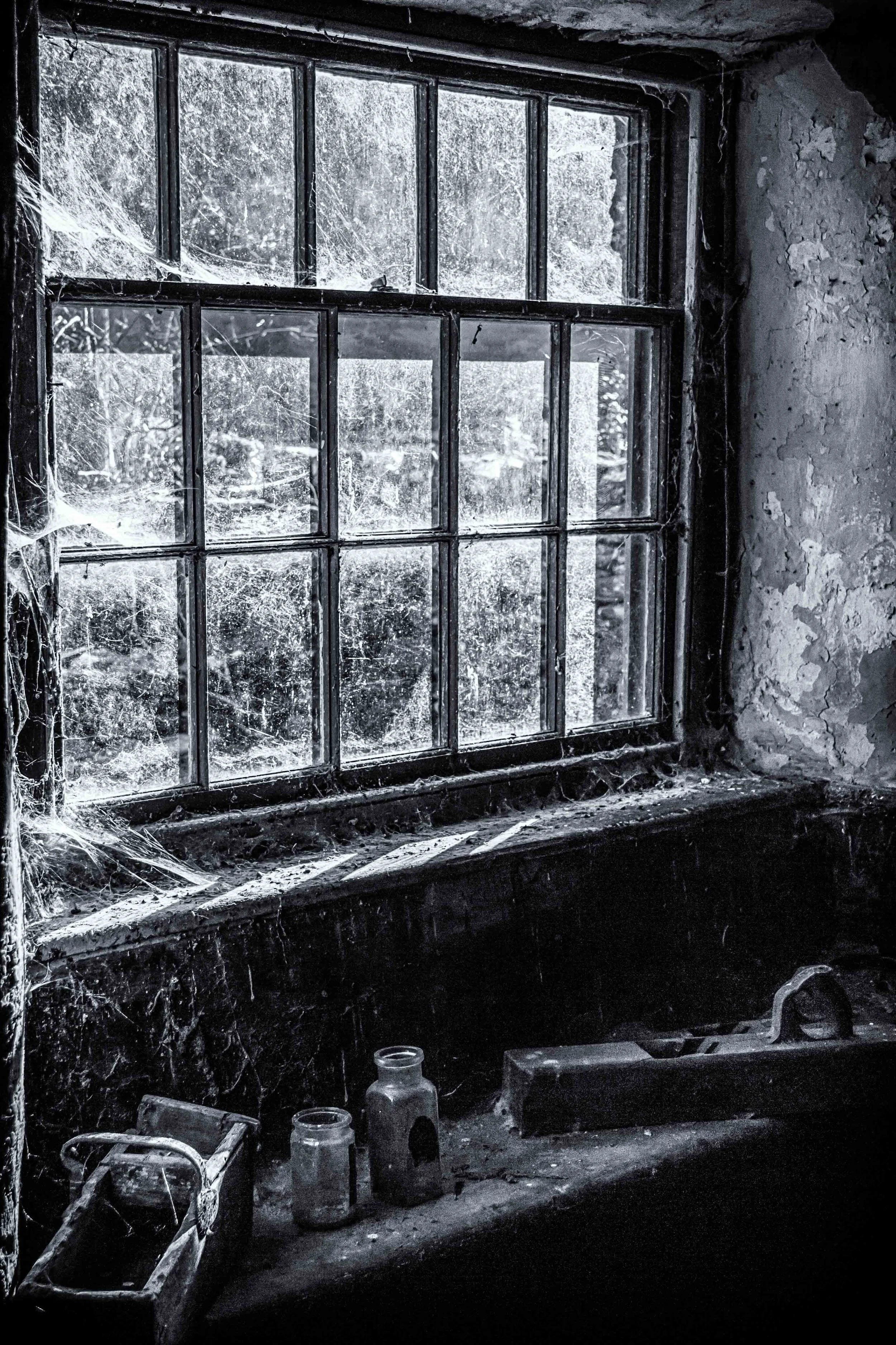 Window on an older world