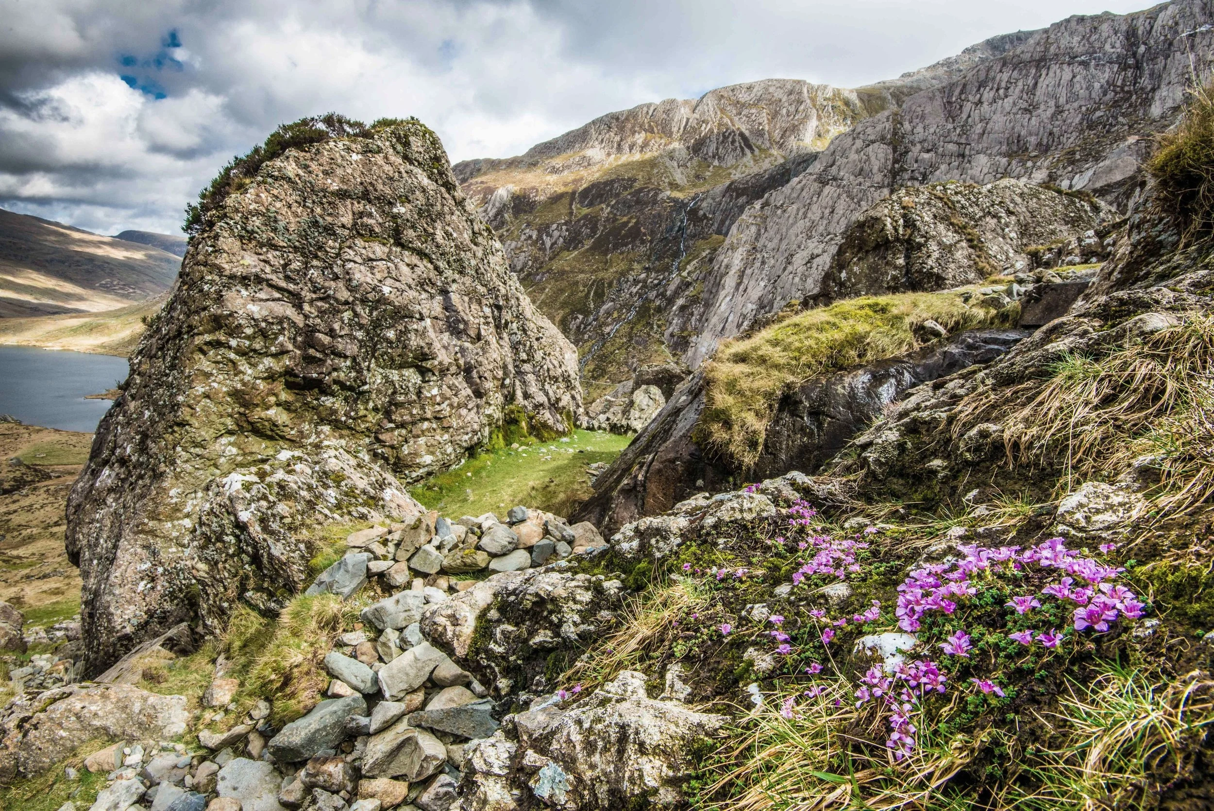 Welsh landscapes Pembrokeshire Skomer