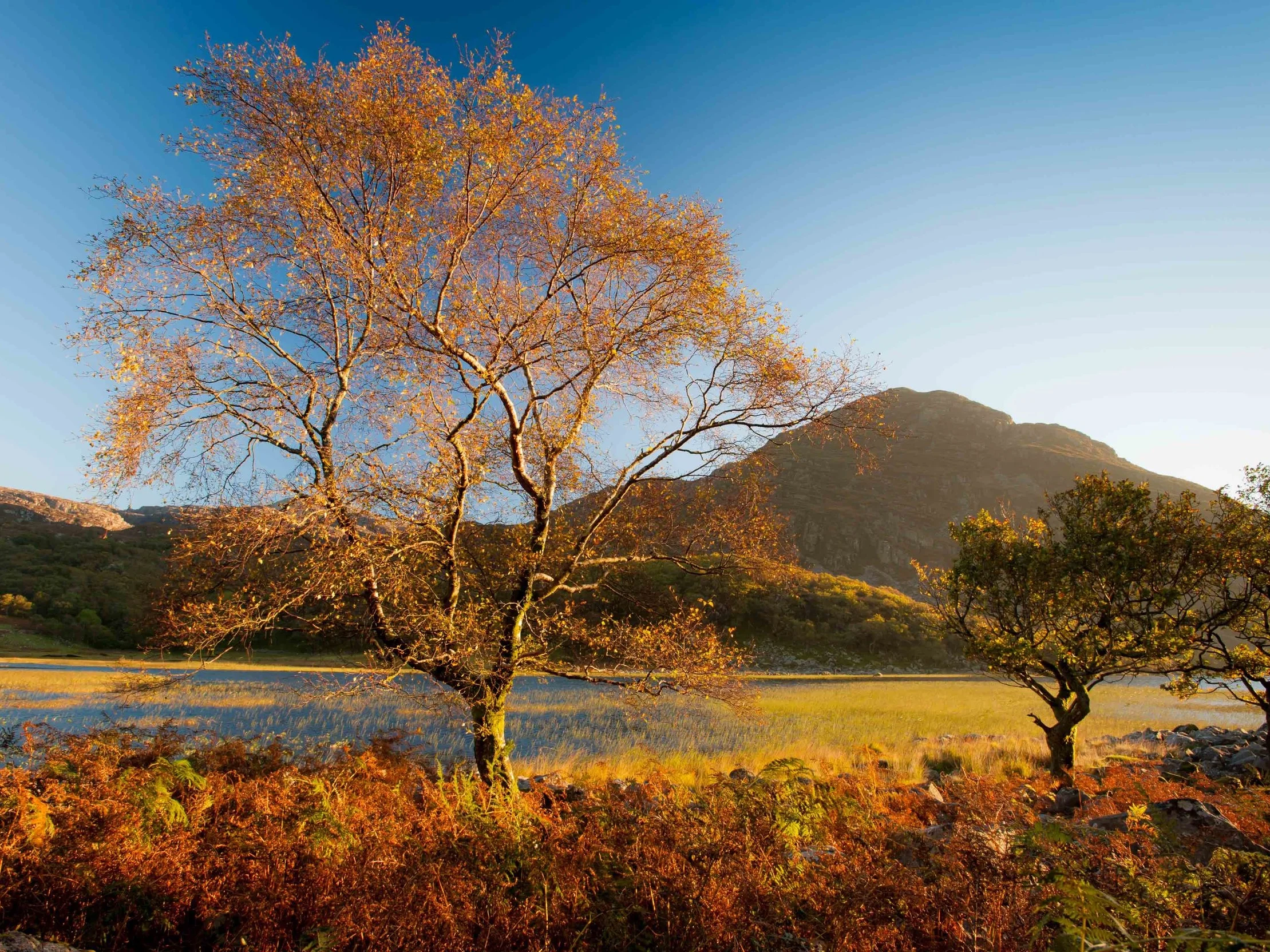 Carreg y saith - Rock of the arrow