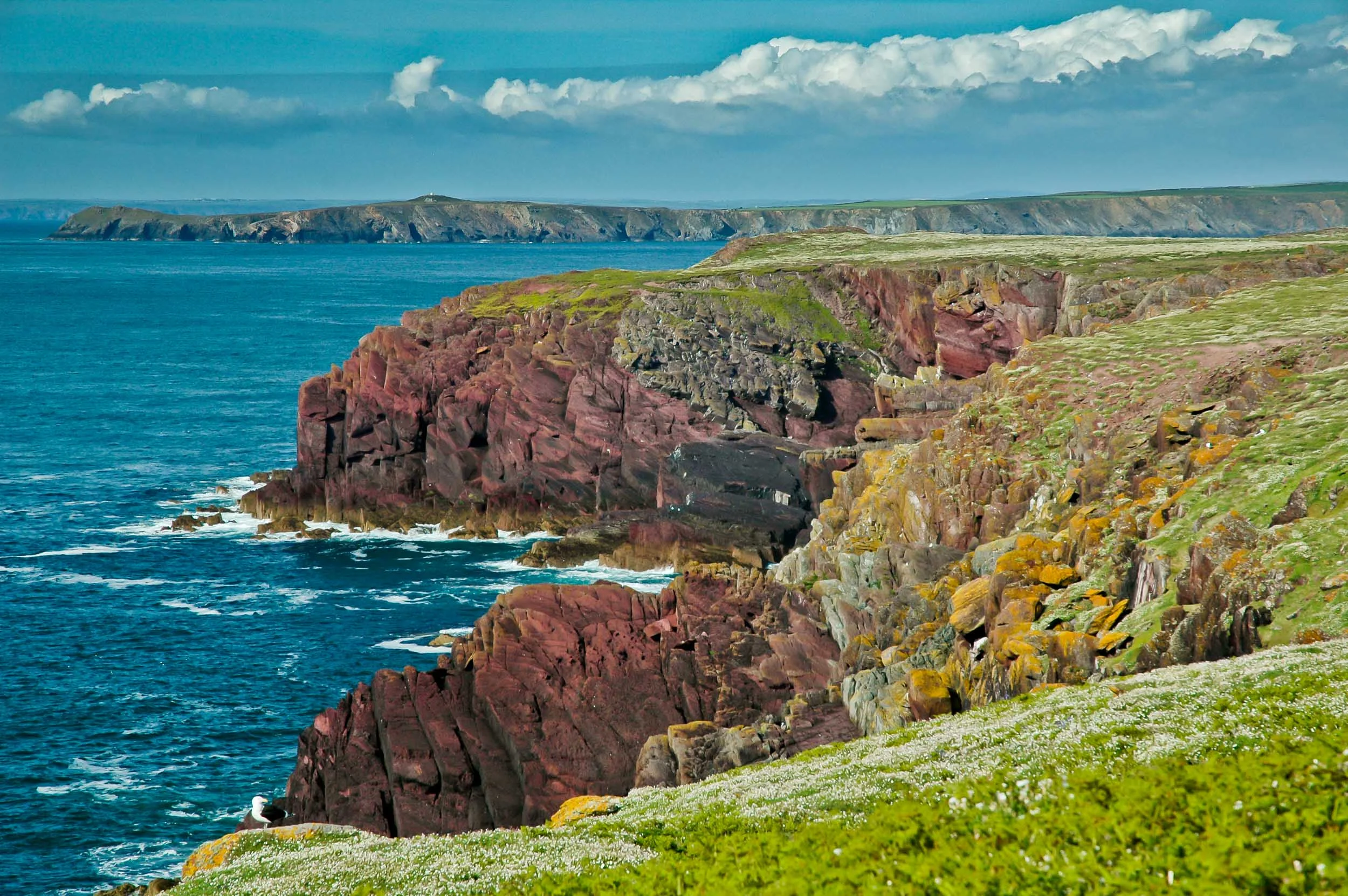 Welsh landscapes Pembrokeshire Skomer